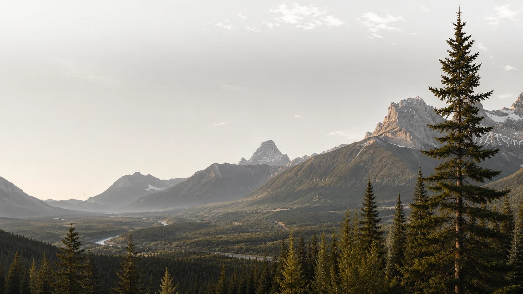 Conifer forest and peaks in the Bow Valley, Alberta